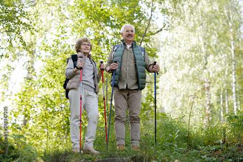 Mature active man and woman with trekking sticks standing among green trees