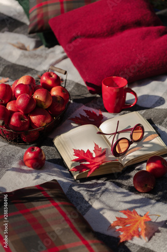 Autumn warm days. Indian summer. Picnic in the garden - blanket and pillows of gray, burgundy and green color on the background of autumn leaves.