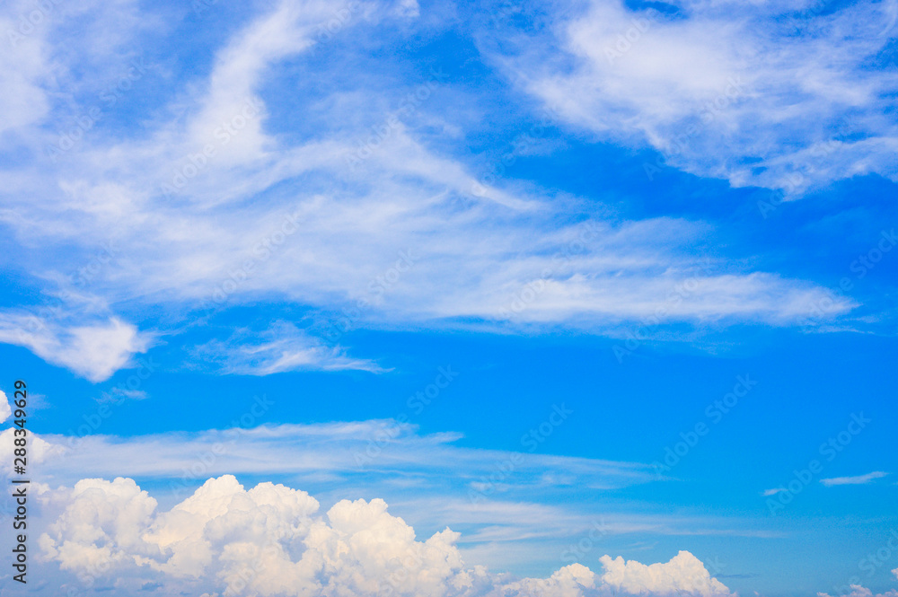 Fototapeta premium 青空と入道雲