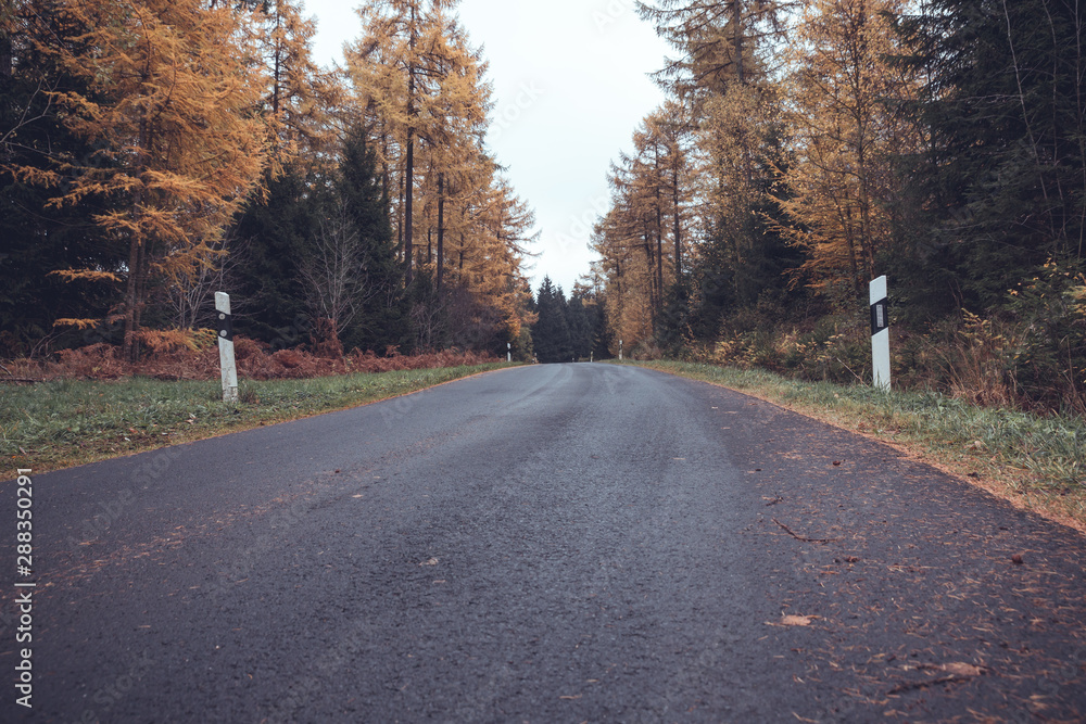 Autumn road 3