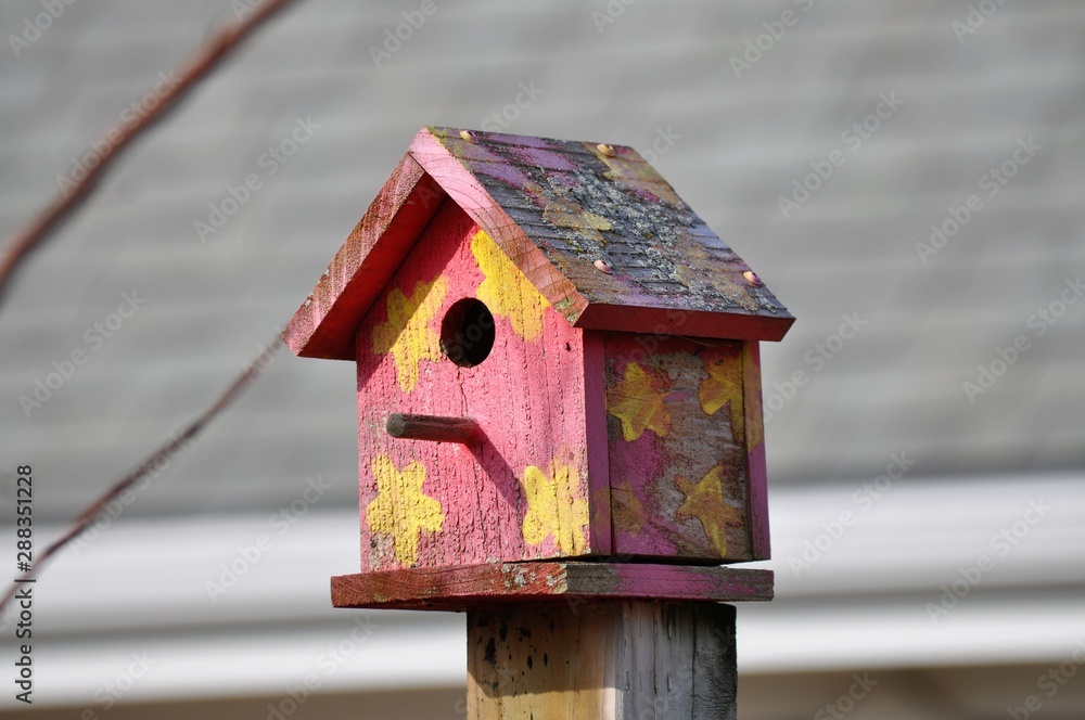 Colorful birdhouse