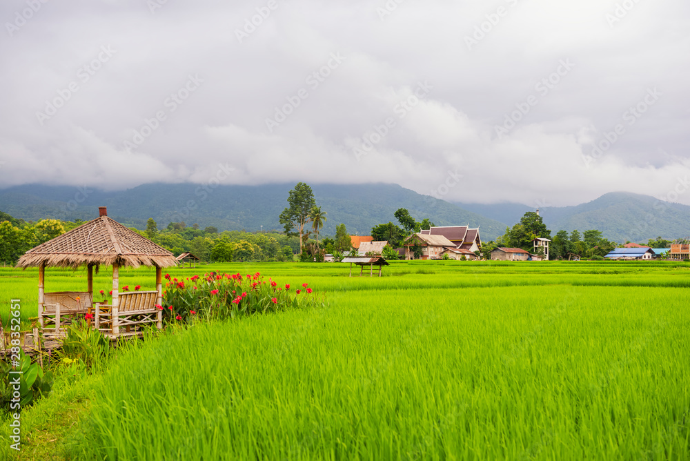 Small house and rice terraces field and Mountain,Nan,Northern of Thailand