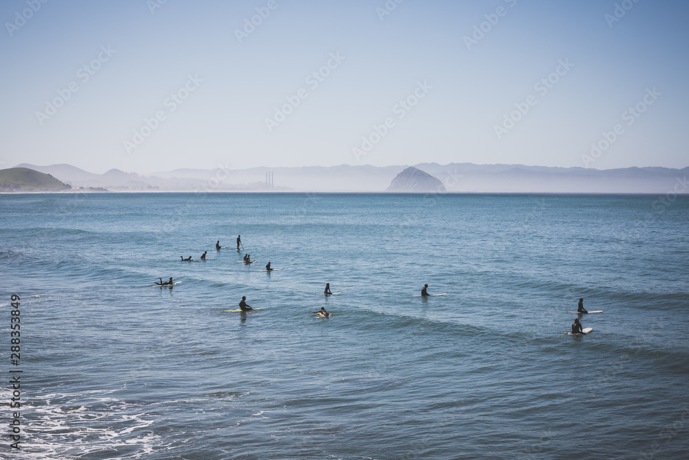 Surfers at the ocean