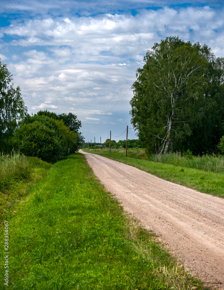 Rural road through green fields with trees and cloudy sky in countryside.