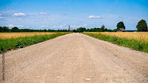 Rural road through green fields with trees and cloudy sky in countryside.