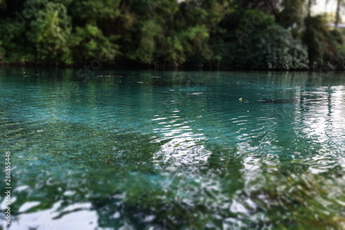 lake in forest © Mirko