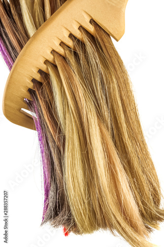 Wallpaper Mural hair and comb Torontodigital.ca