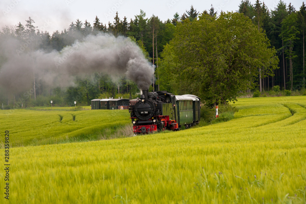 Fototapeta premium Öchsle Museum Railway w Górnej Szwabii