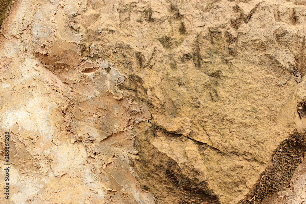 Part of soil cross section texture Part of soil cross section texture