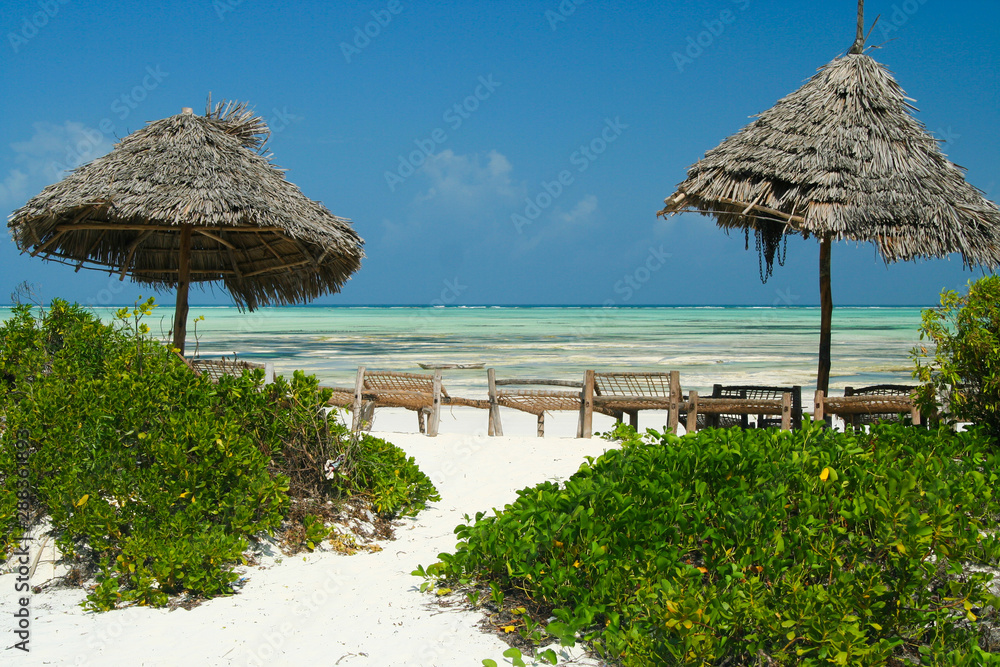 View beyond green plants, thatched umbrellas, wooden beach loungers, white sand on endless turquoise green ocean against blue sky - Paje, Tanzania