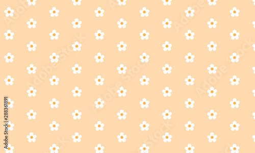 White Flower pattern Background