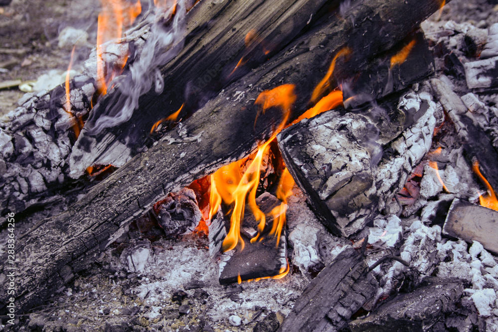 Flames of fire burning wooden logs on ashes Flames of fire burning wooden logs on ashes