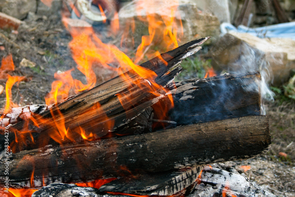 Flames of fire burning wooden logs on ashes