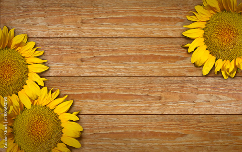 Fototapeta Naklejka Na Ścianę i Meble -  yellow sunflowers on the background of wooden boards.