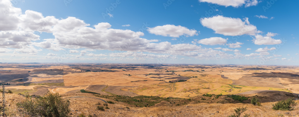 Southwestern Panorama of the Rolling Farmland of the Palouse to the Horizon from the Top of Steptoe Butte in Washington State