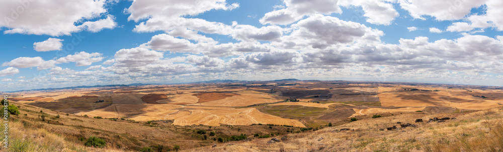 Western Panorama of the Rolling Farmland of the Palouse to the Horizon from Steptoe Butte in Washington State