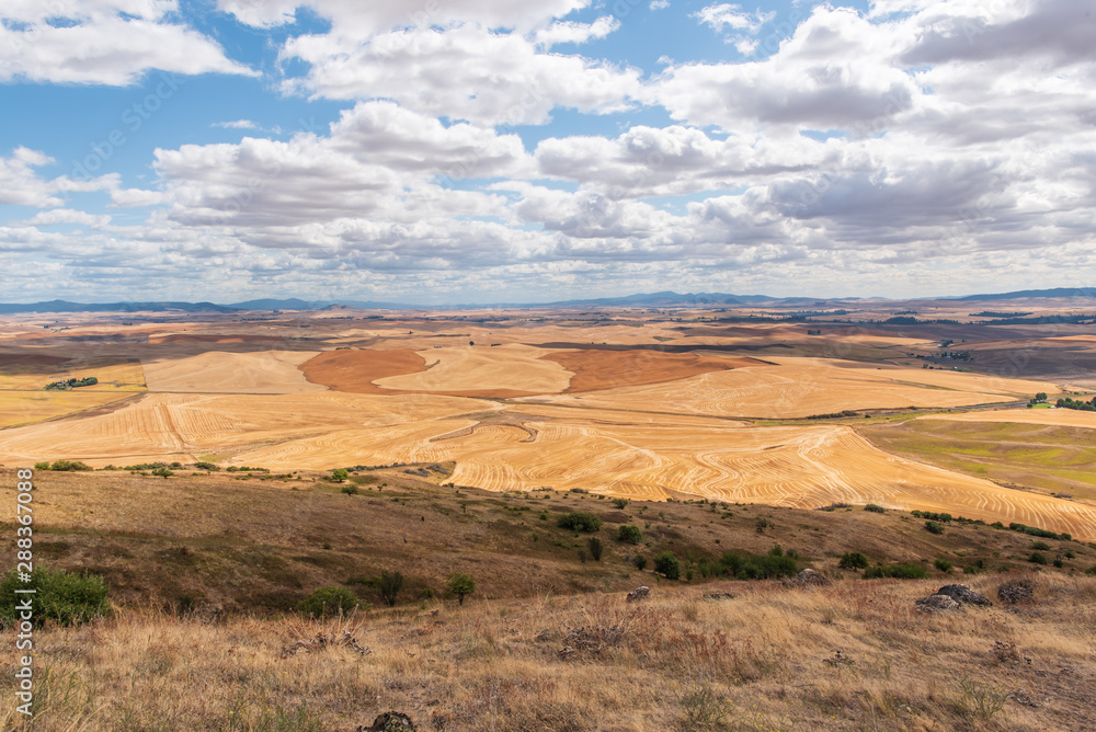Fototapeta premium Unique Western Landscape of the Rolling Farmland of the Palouse to the Horizon from Steptoe Butte in Washington State