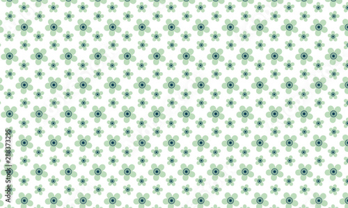 Colorful Flower On White Background