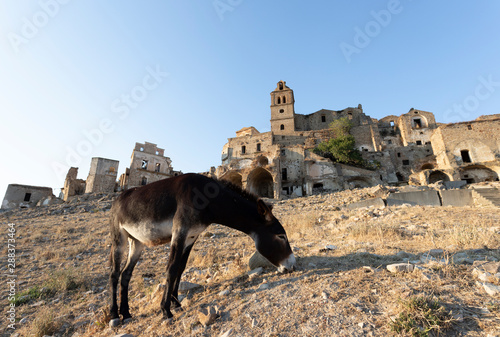 The abandoned village of Craco, Basilicata region, Italy photo