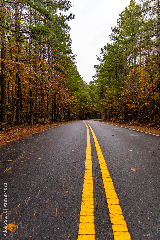 Fototapeta premium autum colors