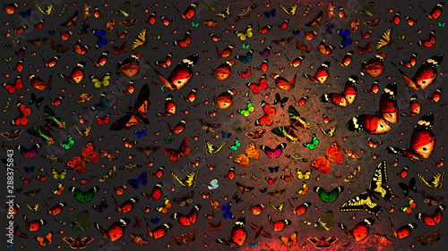 Old paper texture with many colorful flying butterflies. Insects flight. Wildlife. Colorful lighting background