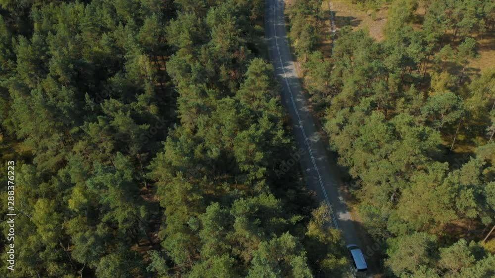Aerial view of car driving on country road in forest. Aerial view of a beautiful wildlife. Flying on a drone in wild along road. Transport traffic on forest road. Aerial Flight over trees. Aerial view of car driving on country road in forest. Aerial view of a beautiful wildlife. Flying on a drone in wild along road. Transport traffic on forest road. Aerial Flight over trees.