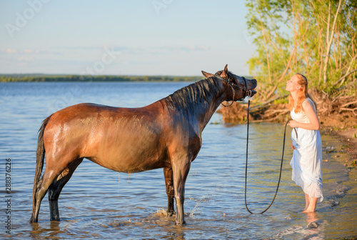The clean horsewoman and her dirty bay mare are on a riverbank in summer.