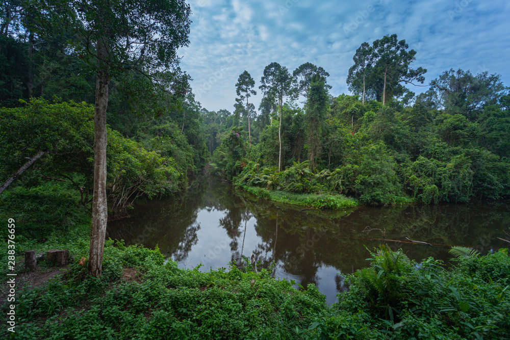 Khao Yai National Park is the largest rainforest in Thailand. There are many waterfalls. .There are various wildlife and plant species. .There are resorts and camping sites for people to relax in.