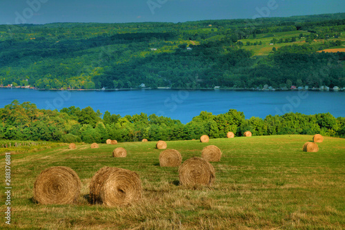 Hayfield & Lake