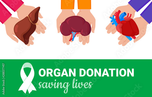 Organ donation concept. Flat vector colorful illustration. Internal human organs. Organ donation green ribbon. National donor day. Organ donation saving lives.