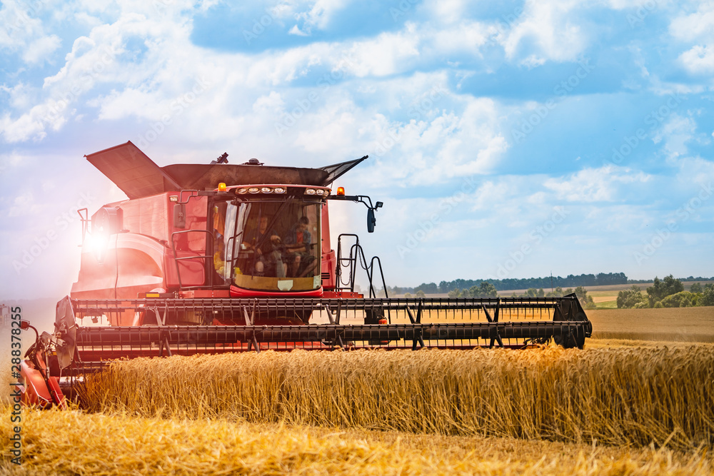 Combine harvester working on a wheat field. Agricultural sector. Wheat Harvesting Combine harvester working on a wheat field. Agricultural sector. Wheat Harvesting