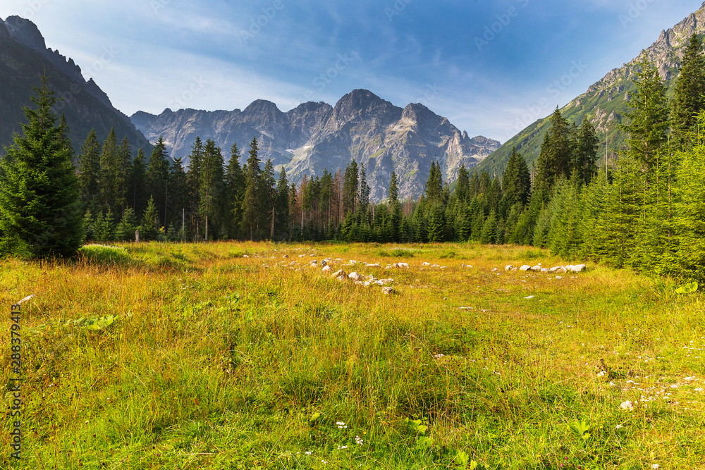 Fototapeta premium Beautiful edge in the Tatra Mountains