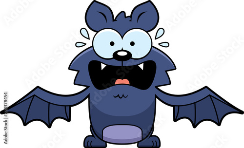 Terrified Little Bat