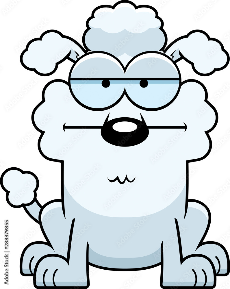 Calm Little Poodle Calm Little Poodle