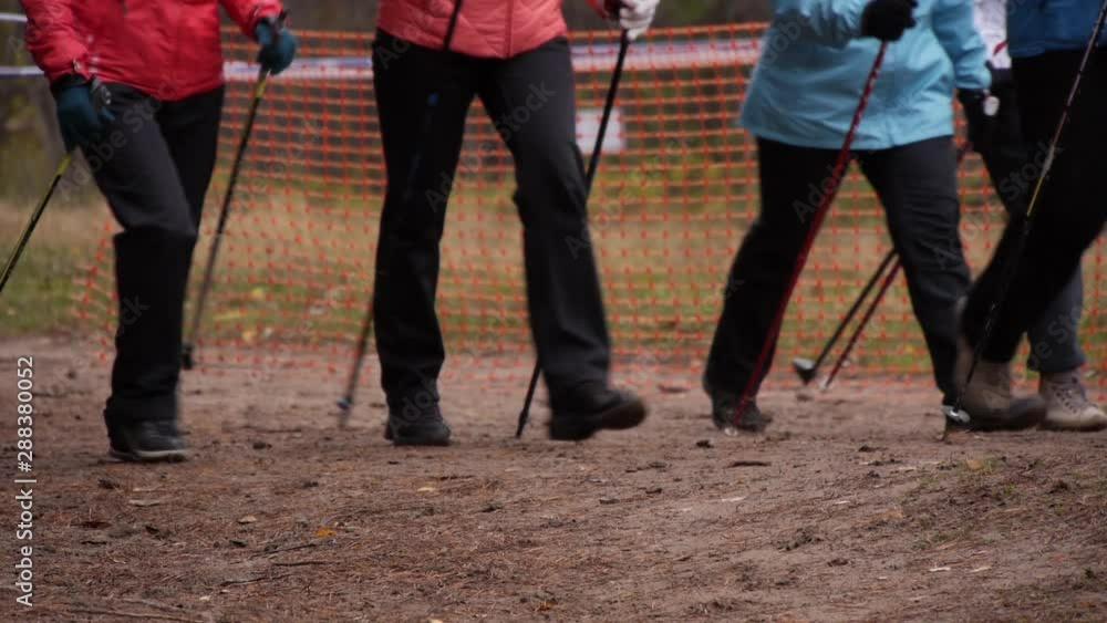Legs of a group of people practicing Nordic Walking.slow motion Legs of a group of people practicing Nordic Walking.slow motion