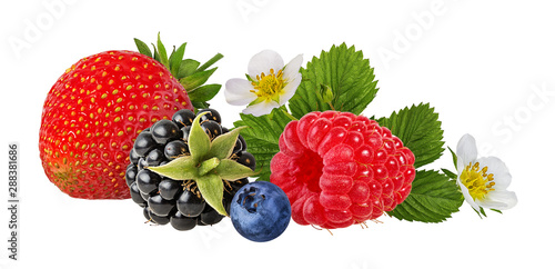 collection of fresh berries isolated on white background