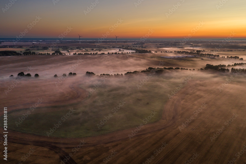 fog on fields, wind turbines in the background