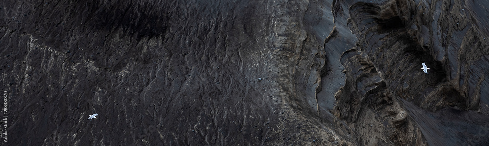 White gulls overflying abstract patterns and streams in new black lava land at Capelinhos volcano after the volcanic eruptions of 1957-58.