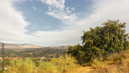 View of the Serrania de Ronda