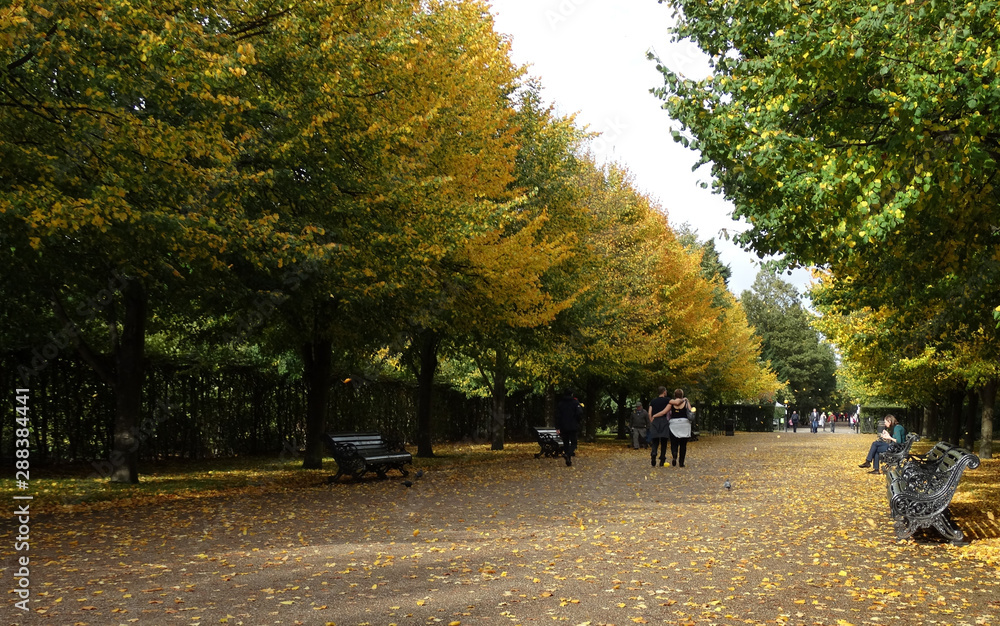 Golden autumn in Regent park, London, Regent’s park in fall season