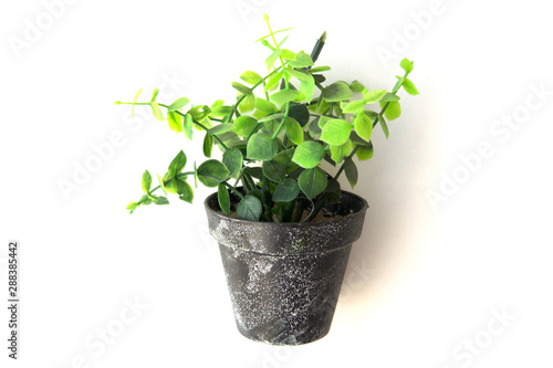 Potted plastic plants and flowers for decorations. Container made of aluminium, plastic, ceramic as well as clay. Plants include Cactus, cacti, beautiful green leaves and red flowers.