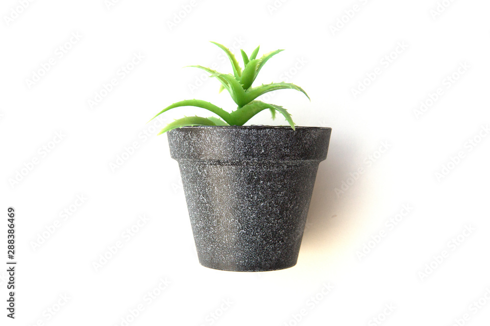 Potted plastic plants and flowers for decorations. Container made of aluminium, plastic, ceramic as well as clay. Plants include Cactus, cacti, beautiful green leaves and red flowers. Potted plastic plants and flowers for decorations. Container made of aluminium, plastic, ceramic as well as clay. Plants include Cactus, cacti, beautiful green leaves and red flowers.