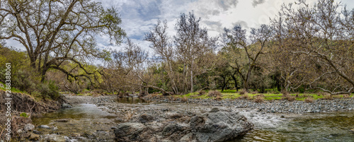 Panorama of a small creek, with large gray rocks old oak trees with fresh small leaves and cloudy sky