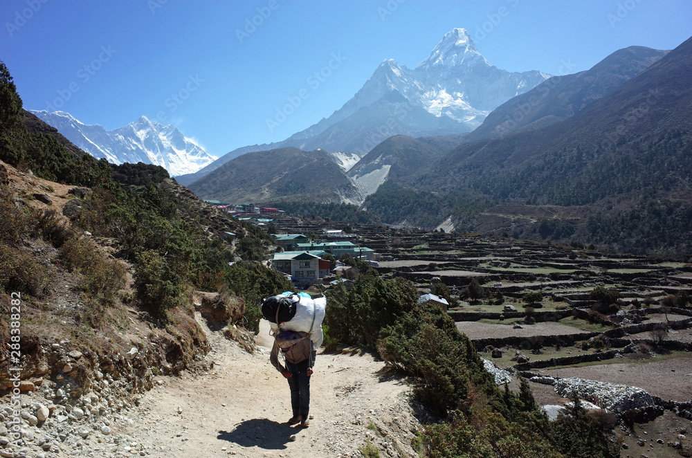 Porter carries heavy load near Pangboche village with view of mount Ama Dablam, Trail to Everest base camp, Sagarmatha national park, Solukhumbu, Nepal