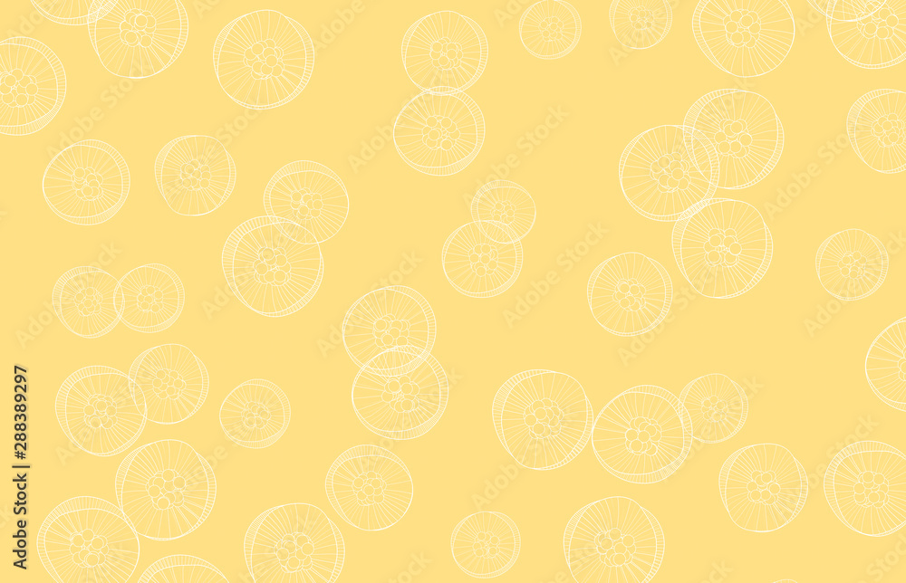 white lined jellyfish on yellow