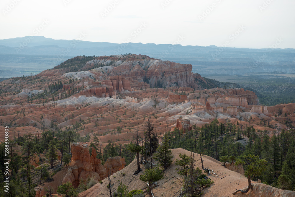 Bryce Canyon with red stones and a white line of stones