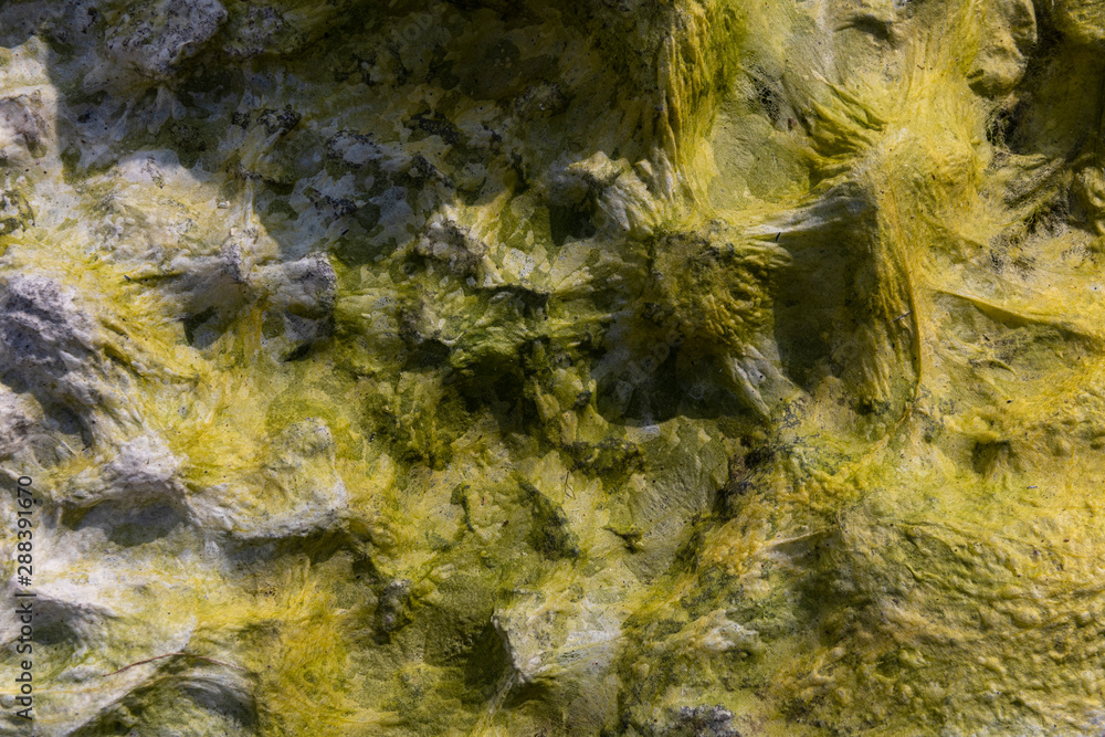 Seeweed and sea algae drying out in abstract patterns on the black basalt lava coast of Ponta do Mistério on ilha Terceira Island in the Azores Seeweed and sea algae drying out in abstract patterns on the black basalt lava coast of Ponta do Mistério on ilha Terceira Island in the Azores