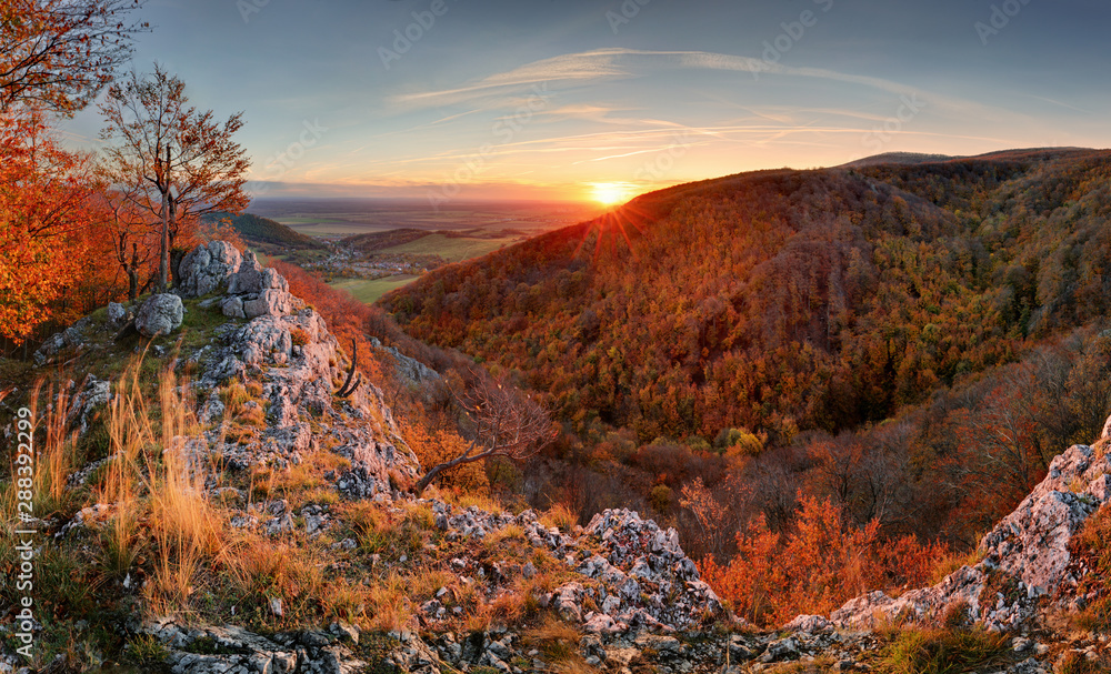 Beautiful orange and red autumn forest mountain, many trees on the orange hills, Slovakia - obrazy, fototapety, plakaty 