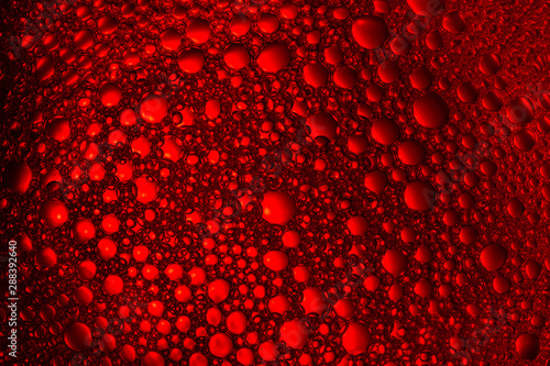oil bubbles macro on colourful background photography