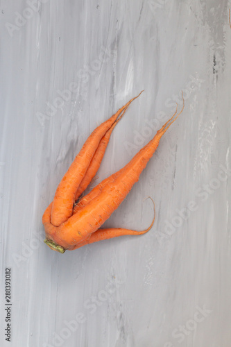 Ugly imperfect carrot, many roots as one. Zero waste food concept. 